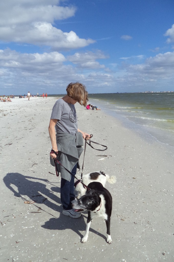 Jett and pups on Sanibel Beach