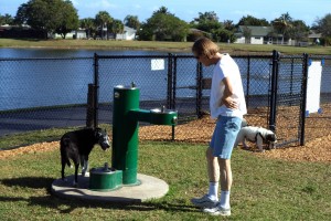 Water at the park