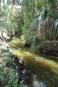 Lazy stream, looking west