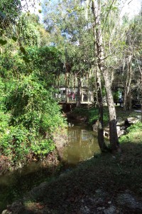 Lazy stream, looking east