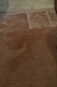 Water stain on bunkhouse carpet