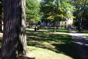 Harvard Yard