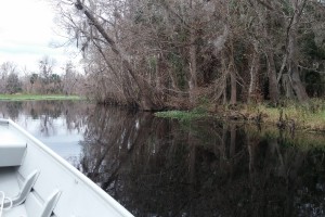 Exploring the inlet