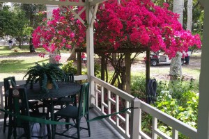 Rattan furniture on the porch