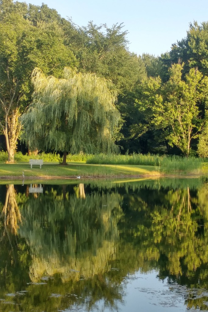 The campground pond