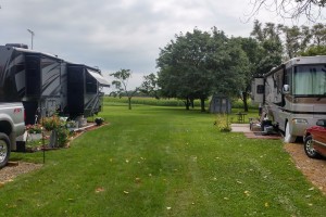 Cornfields beyond the sites