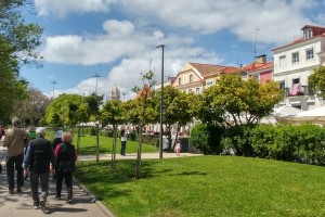 Downtown park