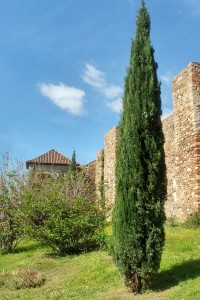 Alcazaba walls