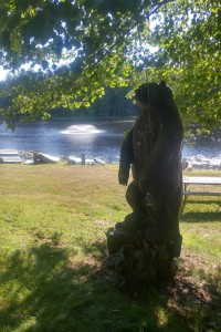 The bear at the pond