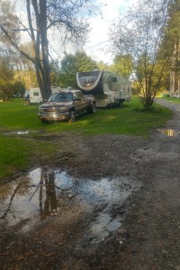 Muddy Chenango Shores