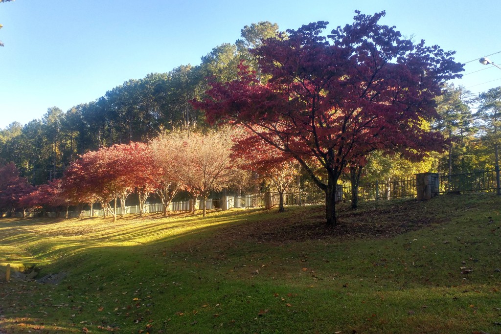 A colorful morning