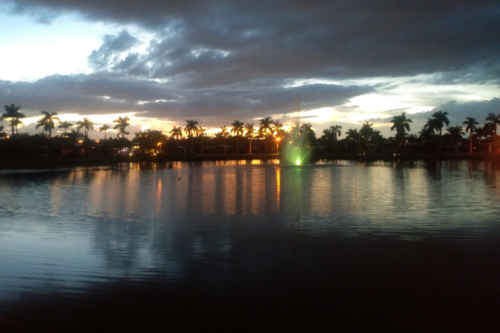 Dusk at the pond