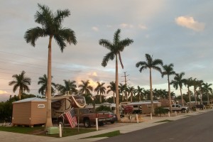 Our nearly empty street