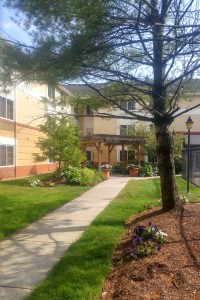 The courtyard