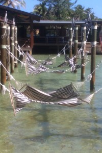 A bevy of hammocks