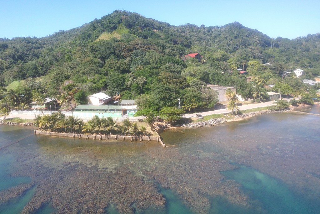 Roatan Island from our balcony