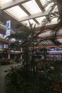 HealthPark Hospital atrium